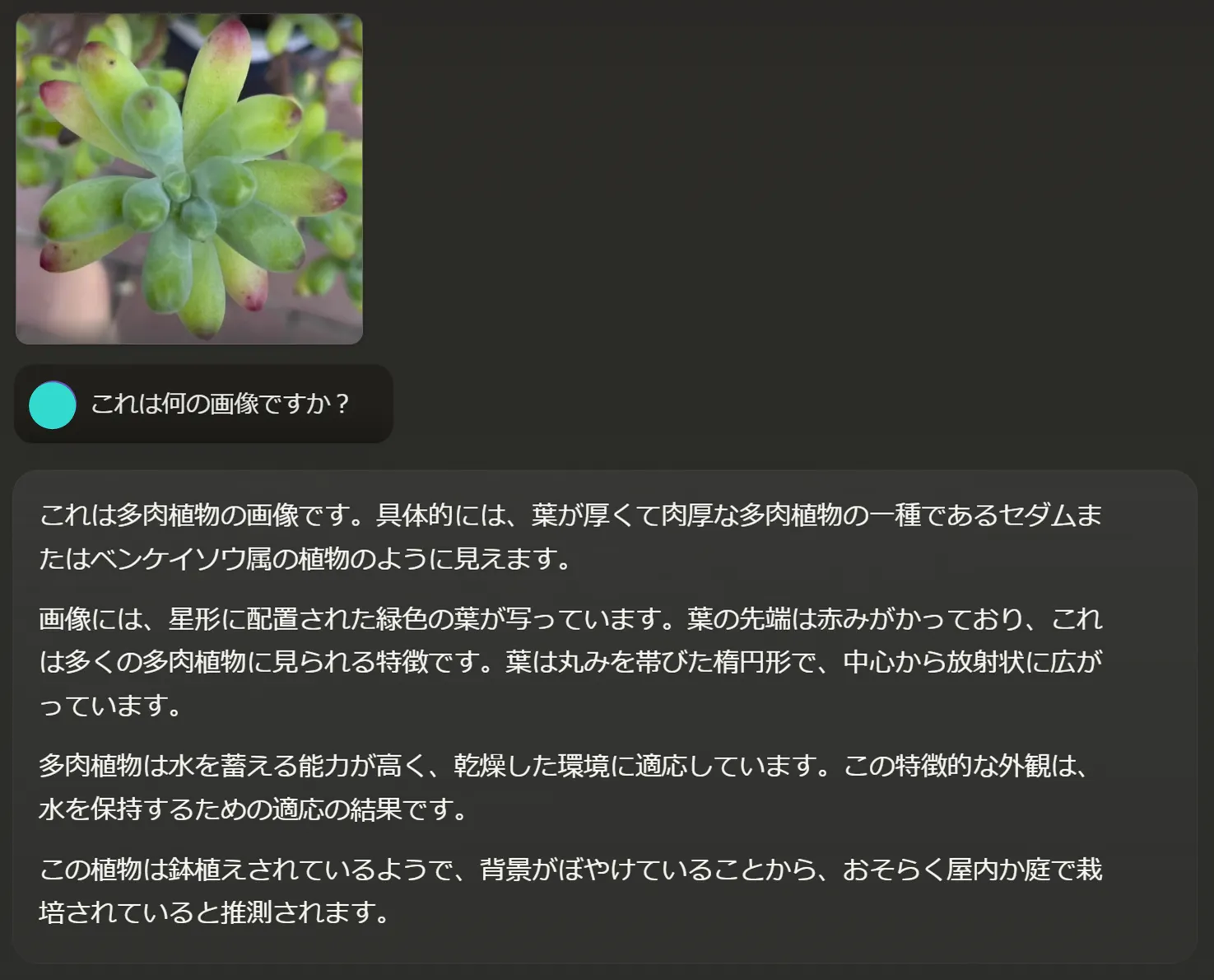 植物を検索