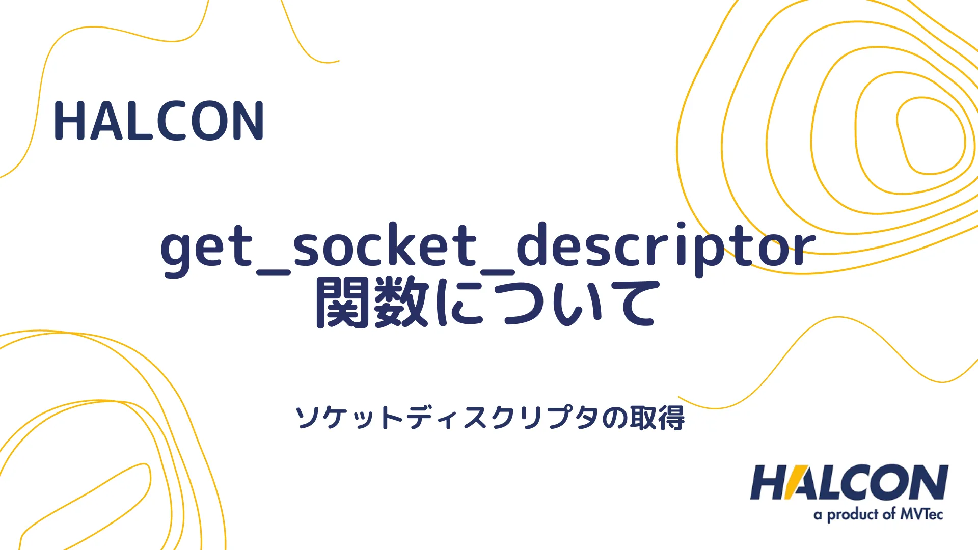 【HALCON】get_socket_descriptor 関数について - ソケットディスクリプタの取得