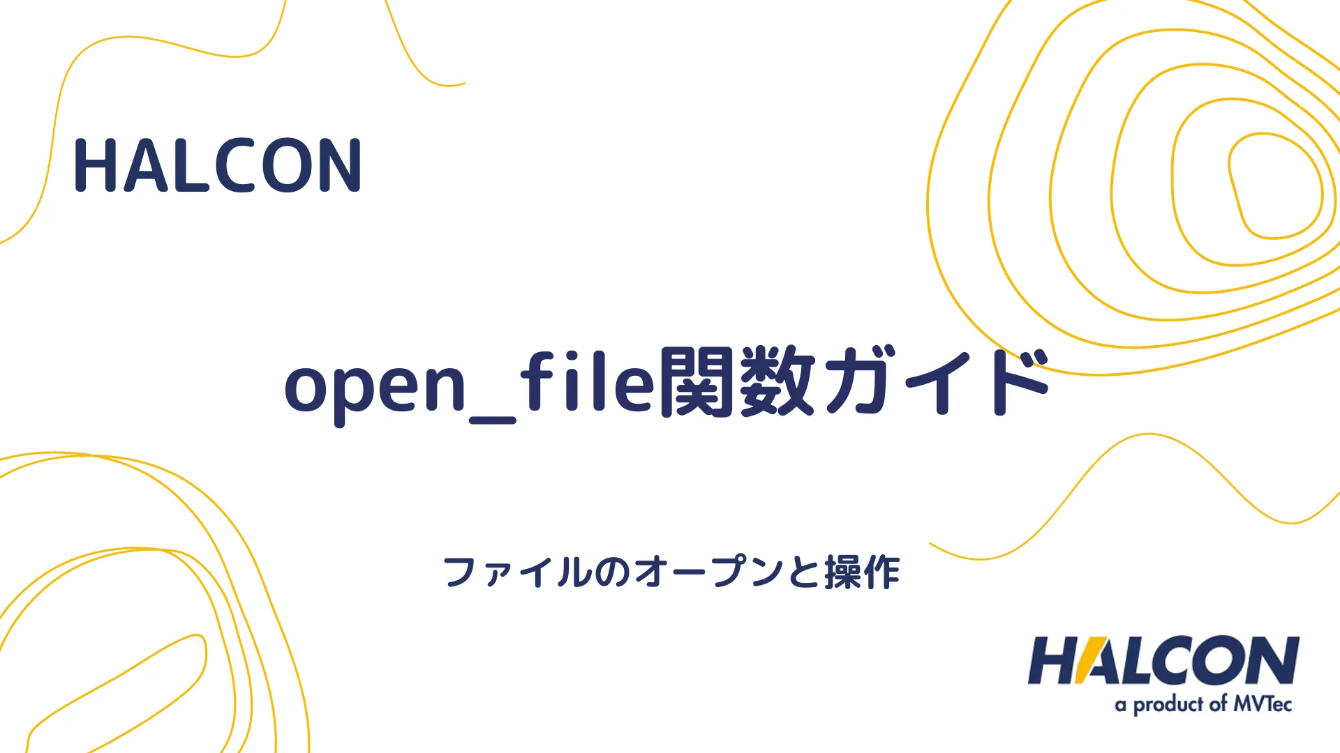 【HALCON】open_file関数ガイド - ファイルのオープンと操作