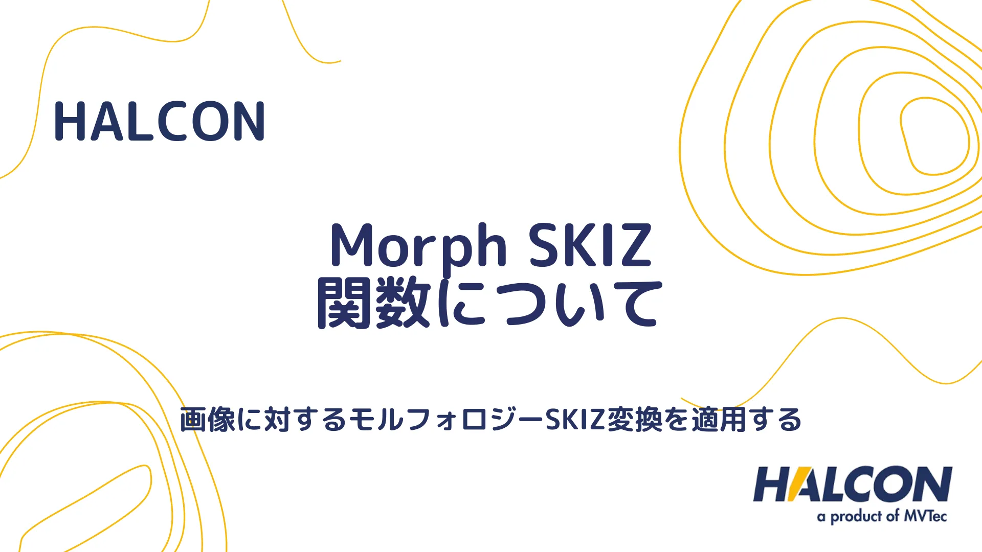 【HALCON】Morph SKIZ 関数について - 画像に対するモルフォロジーSKIZ変換を適用する