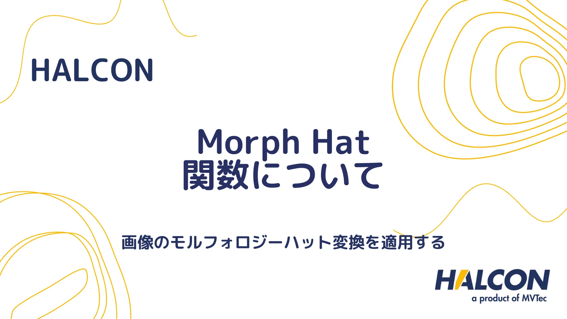 【HALCON】Morph Hat 関数について - 画像のモルフォロジーハット変換を適用する