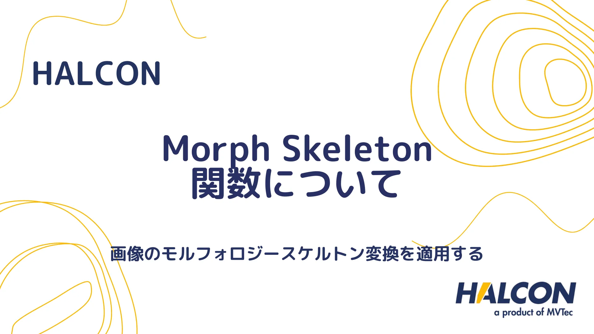 【HALCON】Morph Skeleton 関数について - 画像のモルフォロジースケルトン変換を適用する