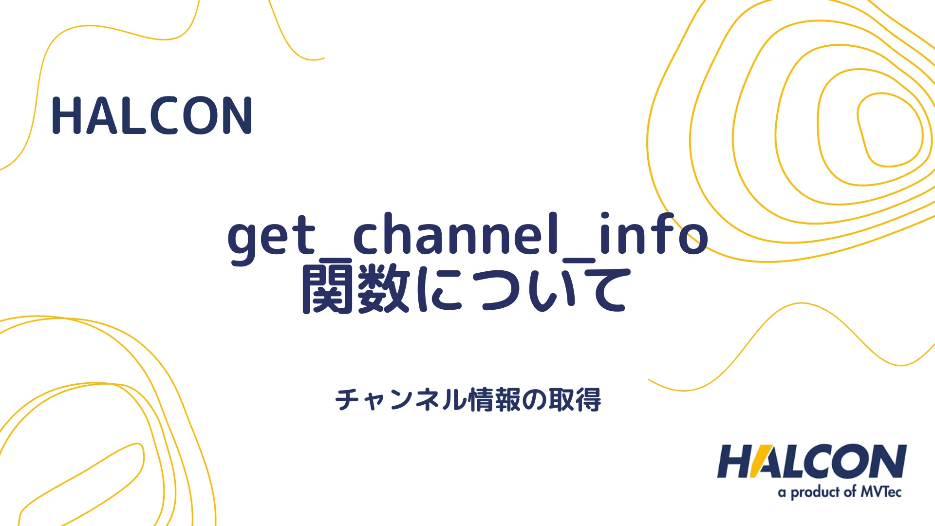 【HALCON】get_channel_info 関数について - チャンネル情報の取得