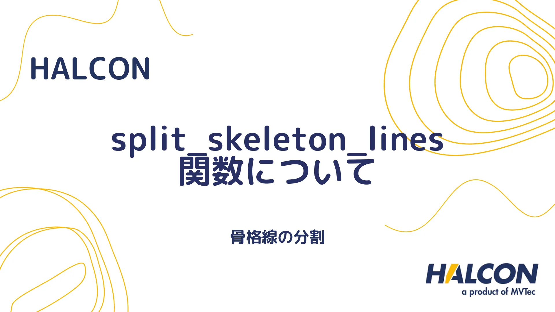 【HALCON】split_skeleton_lines 関数について - 骨格線の分割