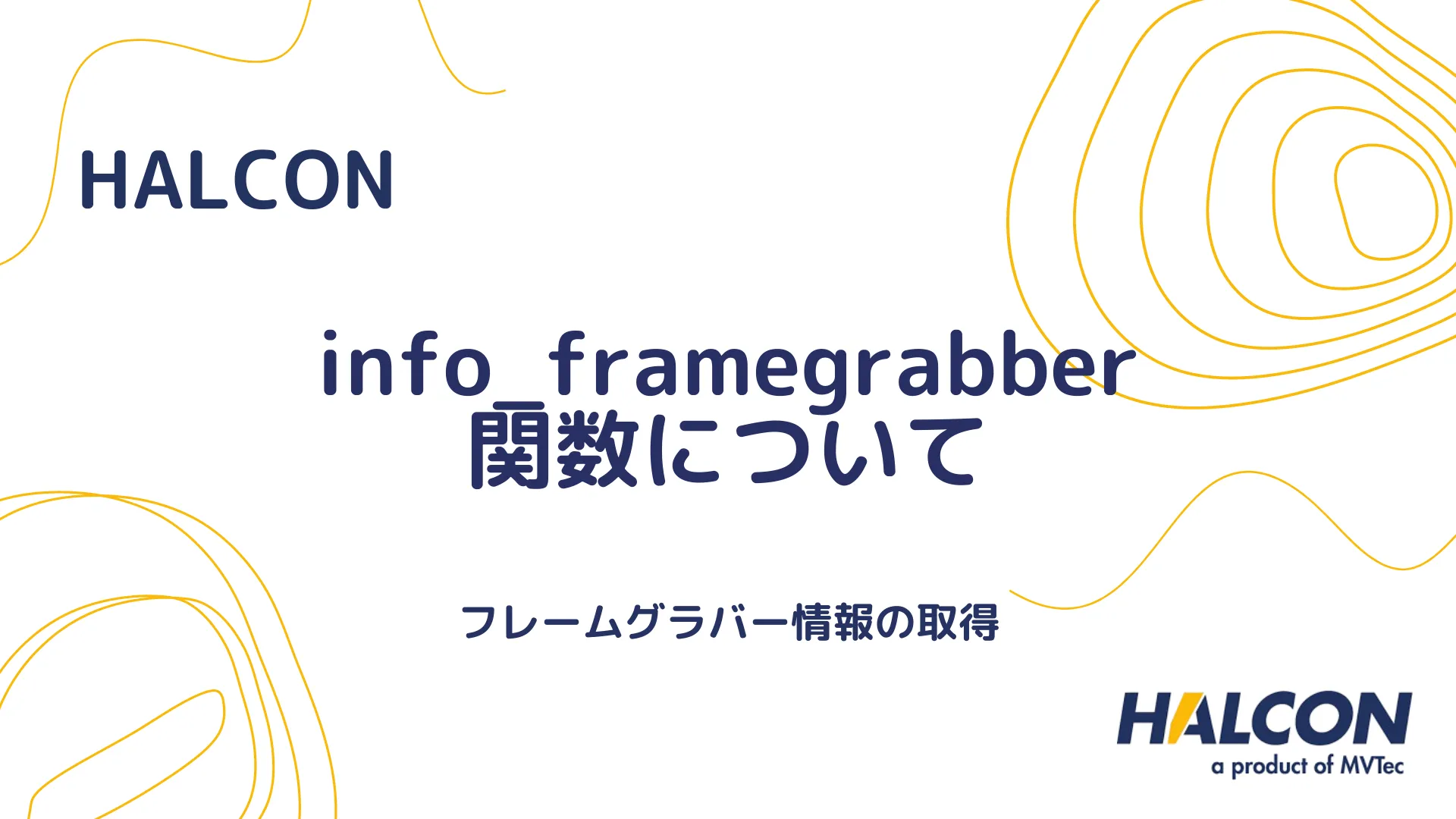 【HALCON】info_framegrabber 関数について - フレームグラバー情報の取得