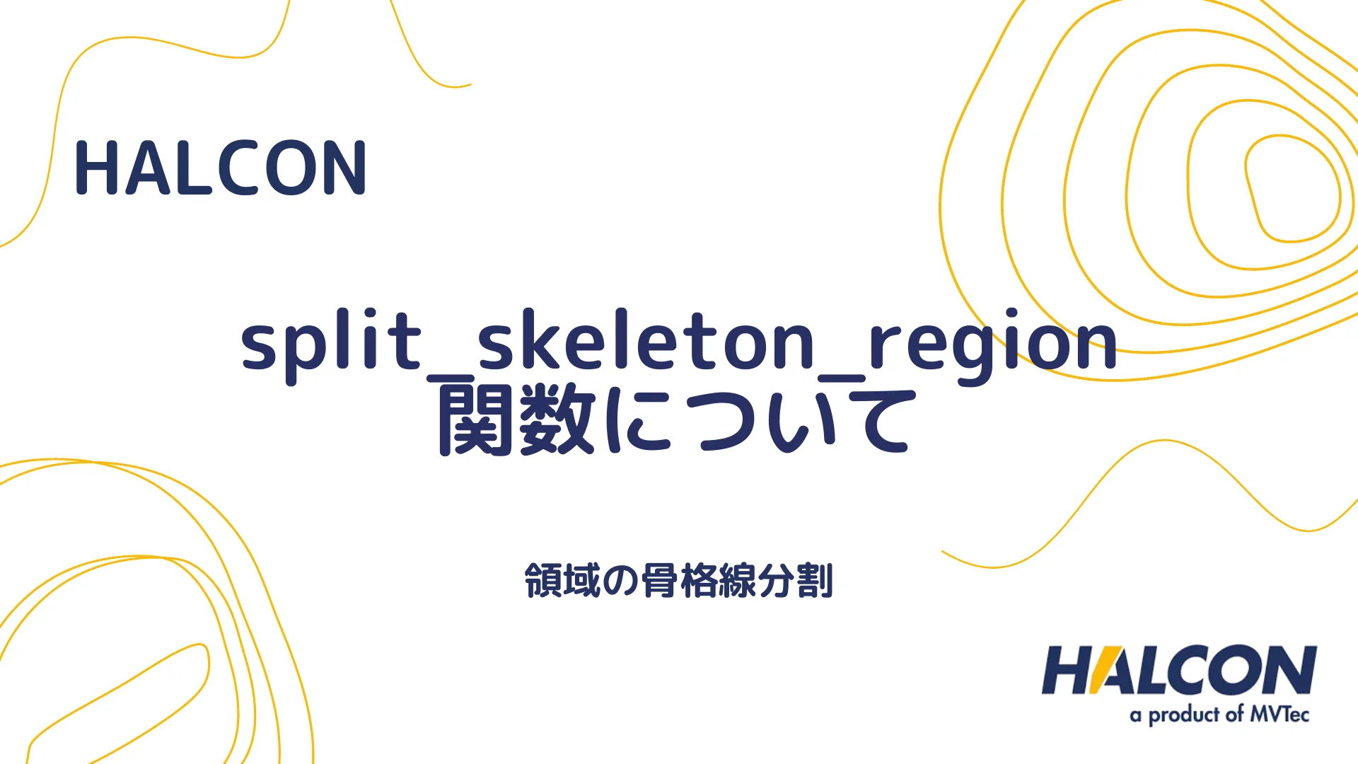 【HALCON】split_skeleton_region 関数について - 領域の骨格線分割